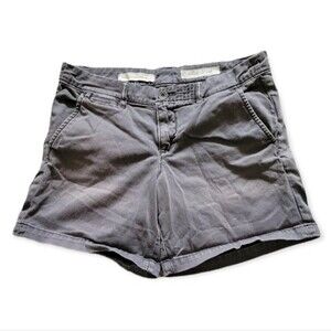 Anthropologie Pilcro & The Letter Press Gray Hyphen Shorts Size 28
